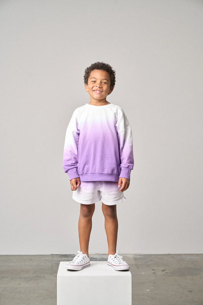 Ombre Lightweight Crewneck - Purple