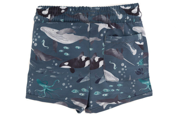 The "Finn" Trunks