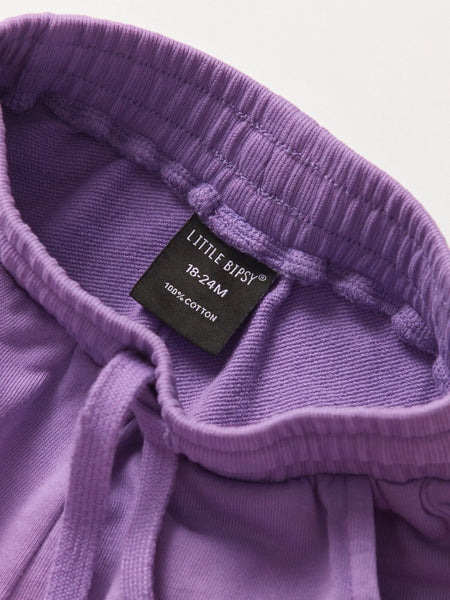 Ombre Sweatshort - Purple