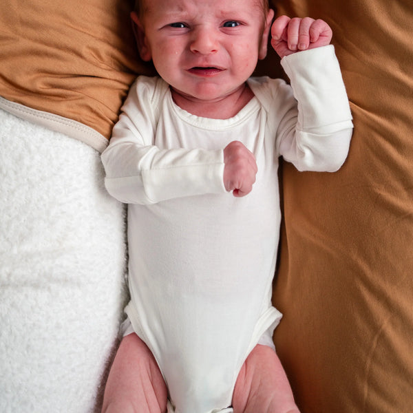 Long Sleeve Bamboo Onesie - Winter Flower