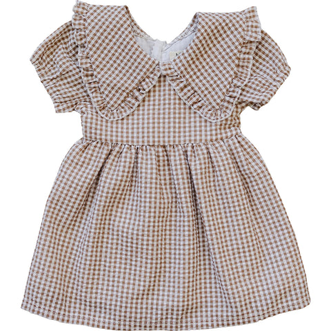 Gingham Peter Pan Collar Dress